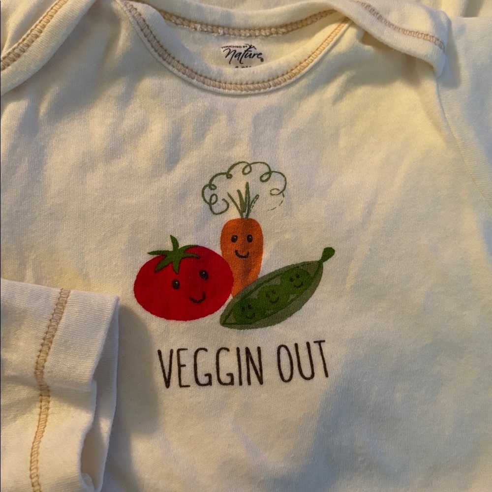 Adorable Set of Onesies - Picture 4 of 7